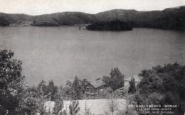 N26011613〇戦前絵葉書○長野 信州野尻湖 外人別荘地より琵琶島の眺望　古写真○和本古書古文書
