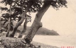 N26011632〇戦前絵葉書○静岡県 伊豆 熱海の海岸　古写真○和本古書古文書