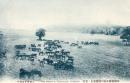 N26011638〇戦前絵葉書○北海道庁 真駒内種蓄場 馬の放牧　古写真○和本古書古文書
