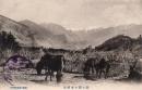 N26011641〇戦前絵葉書○長野 木曽駒ケ岳と木曽馬　古写真○和本古書古文書
