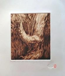 D26012501〇銅版画 １９８６年〇和本古書古文書