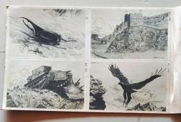 D26020804〇樺島勝一ペン画アルバム　少年倶楽部昭和9年6月号附録　絵葉書　４枚〇和本古書古文書