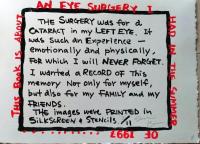 D26021310〇彩色木版画  CAT's EYE 目の治療 yoshimi kuzuu　oregon　版画家 昭和年代〇和本古書古文書