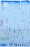 f25020701〇彩色木版画 名所江戸百景 絵葉書サイズ  彩色木版画 浮世絵 歌川広重 堀切の花菖蒲 昭和年代〇和本古書古文書