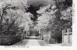 N26022107〇戦前絵葉書○香川 (金刀比羅宮名勝) 金刀比羅宮桜の馬場　古写真○和本古書古文書
