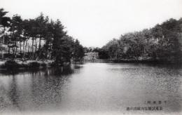 N26022146○戦前絵葉書○千葉 （千葉名所）　畜産試験場内鮒田の池　古写真 コロタイプ印刷 ○和本古書古文書
