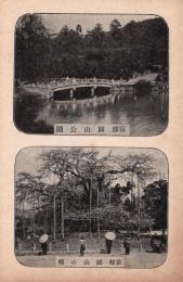 N26022150○戦前絵葉書○京都　円山公園ひょうたん池だるま橋　円山の桜　古写真 ○和本古書古文書
