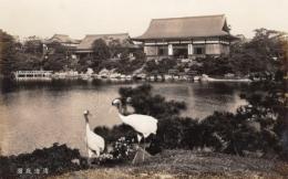 N26022169○戦前絵葉書○東京　清澄庭園 鶴　古写真 東京市発行○和本古書古文書
