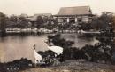 N26022169○戦前絵葉書○東京　清澄庭園 鶴　古写真 東京市発行○和本古書古文書
