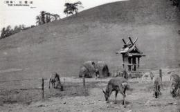 N26022194○戦前絵葉書○奈良　三笠山（若草山）　古写真○和本古書古文書