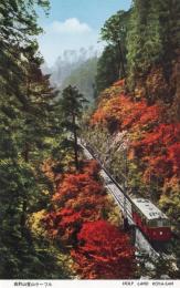 N26022632○戦前絵葉書○和歌山　高野山　高野山登山ケーブルカー　古写真○和本古書古文書
