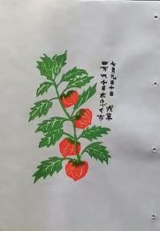 D260131D27〇彩色木版画 忙散亭図会 折節の便り ホウズキ市  高尾亮一著画刻〇和本古書古文書