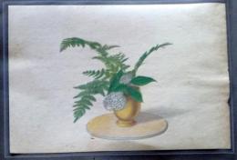 D26030601〇彩色石版画 シダに紫陽花 盛花 西洋花 生花図譜  華道 生花 昭和年代〇和本古書古文書