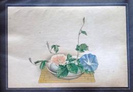 D26030603〇彩色石版画 朝顔 盛花 西洋花 生花図譜  華道 生花 解説付き 昭和年代〇和本古書古文書