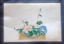 D26030603〇彩色石版画 朝顔 盛花 西洋花 生花図譜  華道 生花 解説付き 昭和年代〇和本古書古文書