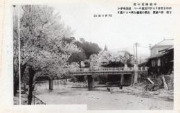 N26032125○戦前絵葉書○岐阜県 飛騨の高山　中橋付近の桜 宮川五橋の一　古写真○和本古書古文書
