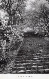 N26032142○戦前絵葉書○奈良 女人高野 室生寺　磴道と石楠花　古写真○和本古書古文書
