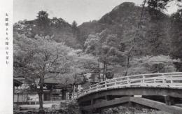 N26032143○戦前絵葉書○奈良 女人高野 室生寺　太鼓橋より大師山を望む　古写真○和本古書古文書
