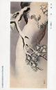 N26032173○戦前絵葉書○藤田男爵家 香雪齋御蔵品展観記念　呉春 松 三幅対の内　古写真○和本古書古文書
