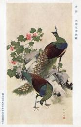 N26032177○戦前絵葉書○藤田男爵家 香雪齋御蔵品展観記念　芳園 芙蓉孔雀飛蝶　古写真○和本古書古文書
