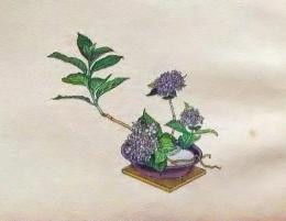 D26030656〇彩色石版画  紫陽花  盛花 西洋花 生花図譜  華道 生花 解説付き 昭和年代〇和本古書古文書