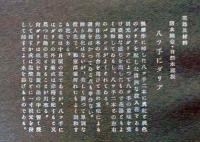 D26030659〇彩色石版画  ヤツデにダリア  盛花 西洋花 生花図譜  華道 生花 解説付き 昭和年代〇和本古書古文書