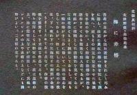 D26030661〇彩色石版画   梅に赤椿 盛花 西洋花 生花図譜  華道 生花 解説付き 昭和年代〇和本古書古文書