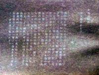 D26030666〇彩色石版画  山吹  盛花 西洋花 生花図譜  華道 生花 解説付き 昭和年代〇和本古書古文書