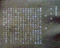 D26030667〇彩色石版画  牡丹  盛花 西洋花 生花図譜  華道 生花 解説付き 昭和年代〇和本古書古文書