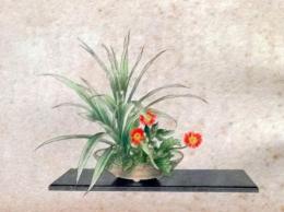 D26030673〇彩色石版画   ドラセナにガーベラ 盛花 西洋花 生花図譜  華道 生花 解説付き 昭和年代〇和本古書古文書