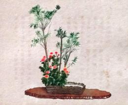 D26030675〇彩色石版画  竹に小菊  盛花 西洋花 生花図譜  華道 生花 解説付き 昭和年代〇和本古書古文書