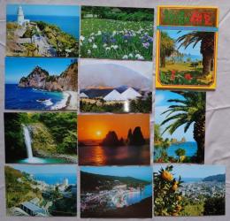 N26040105○絵葉書 セット 静岡県伊豆半島 旅情の伊豆 １０枚セット　昭和年代○和本古書古文書
