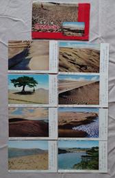 N26040108○絵葉書 セット 鳥取県 鳥取砂丘を詠う 短歌俳句付 カラー８枚セット　昭和年代○和本古書古文書