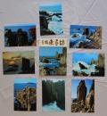 N26040113○絵葉書 セット 福井県 奇勝 東尋坊 ８枚セット　昭和年代○和本古書古文書
