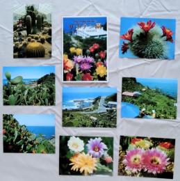 N26040121○絵葉書 セット 宮崎県 日南海岸 サボテン園 カラー８枚組　昭和年代○和本古書古文書