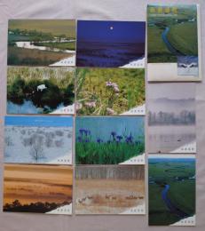 N26040137○絵葉書 セット 北海道 釧路湿原 国立公園指定記念 郵政省発行 カラー１０枚組　昭和62年○和本古書古文書
