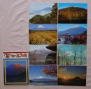 N26040138○絵葉書 セット 山梨県 富士五湖 カラー８枚組　昭和年代○和本古書古文書
