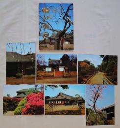 N26040152○絵葉書 セット 茨城県 水戸の梅 カラー６枚組　昭和年代○和本古書古文書