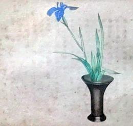 D26030685〇彩色石版画  燕子花  盛花 西洋花 生花図譜  華道 生花 解説付き 昭和年代〇和本古書古文書