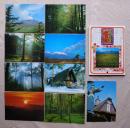 N26040652○絵葉書 セット 長野県 国立公園 軽井沢の思い出 カラー１１枚組　昭和年代○和本古書古文書
