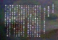 D26030686〇彩色石版画  白フロックスにカーネーション  盛花 西洋花 生花図譜  華道 生花 解説付き 昭和年代〇和本古書古文書