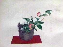 D26030690〇彩色石版画  侘助椿に白寒菊  盛花 西洋花 生花図譜  華道 生花 解説付き 昭和年代〇和本古書古文書