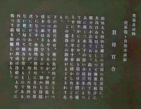 D26030693〇彩色石版画   貝母百合 盛花 西洋花 生花図譜  華道 生花 解説付き 昭和年代〇和本古書古文書