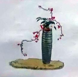 D26030694〇彩色石版画   ツルウメモドキに白玉椿 盛花 西洋花 生花図譜  華道 生花 解説付き 昭和年代〇和本古書古文書