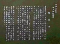 D26030695〇彩色石版画  姫萱草  盛花 西洋花 生花図譜  華道 生花 解説付き 昭和年代〇和本古書古文書