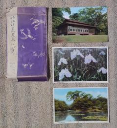 N26042106○戦前絵葉書 セット 明治神宮御苑 隔雲亭 南池 座間の森(花菖蒲) 古写真３枚組○和本古書古文書