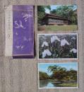 N26042106○戦前絵葉書 セット 明治神宮御苑 隔雲亭 南池 座間の森(花菖蒲) 古写真３枚組○和本古書古文書