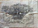 D26051609〇一枚摺物 木版画 摂州泉堺 広普山妙国寺 大蘇鉄図 江戸時代〇和本古書古文書