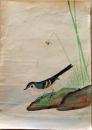 D26051612〇直筆 彩色画  黄鶺鴒   昭和年代〇和本古書古文書