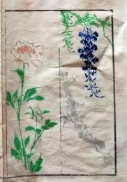 D26051907〇一枚摺物 彩色木版画  藤の花  蕙斎麁画５巻抜粋〇和本古書古文書